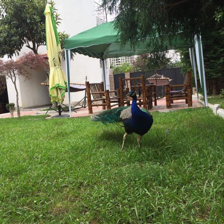 Holiday home Vacation Nukri Gonio