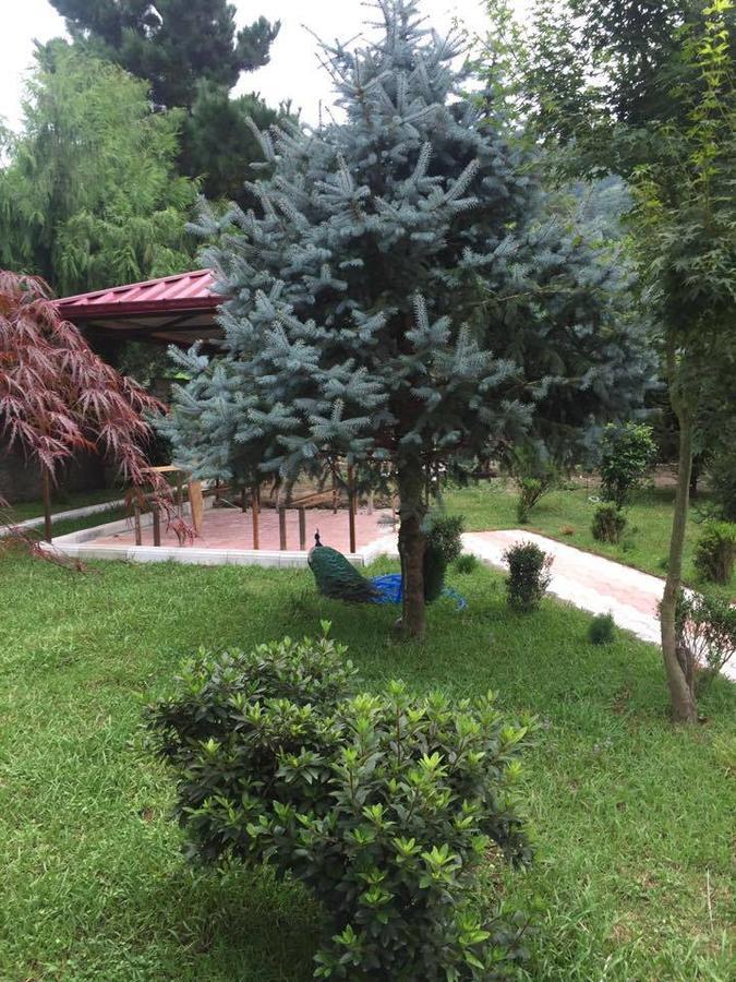 Vacation Nukri Gonio